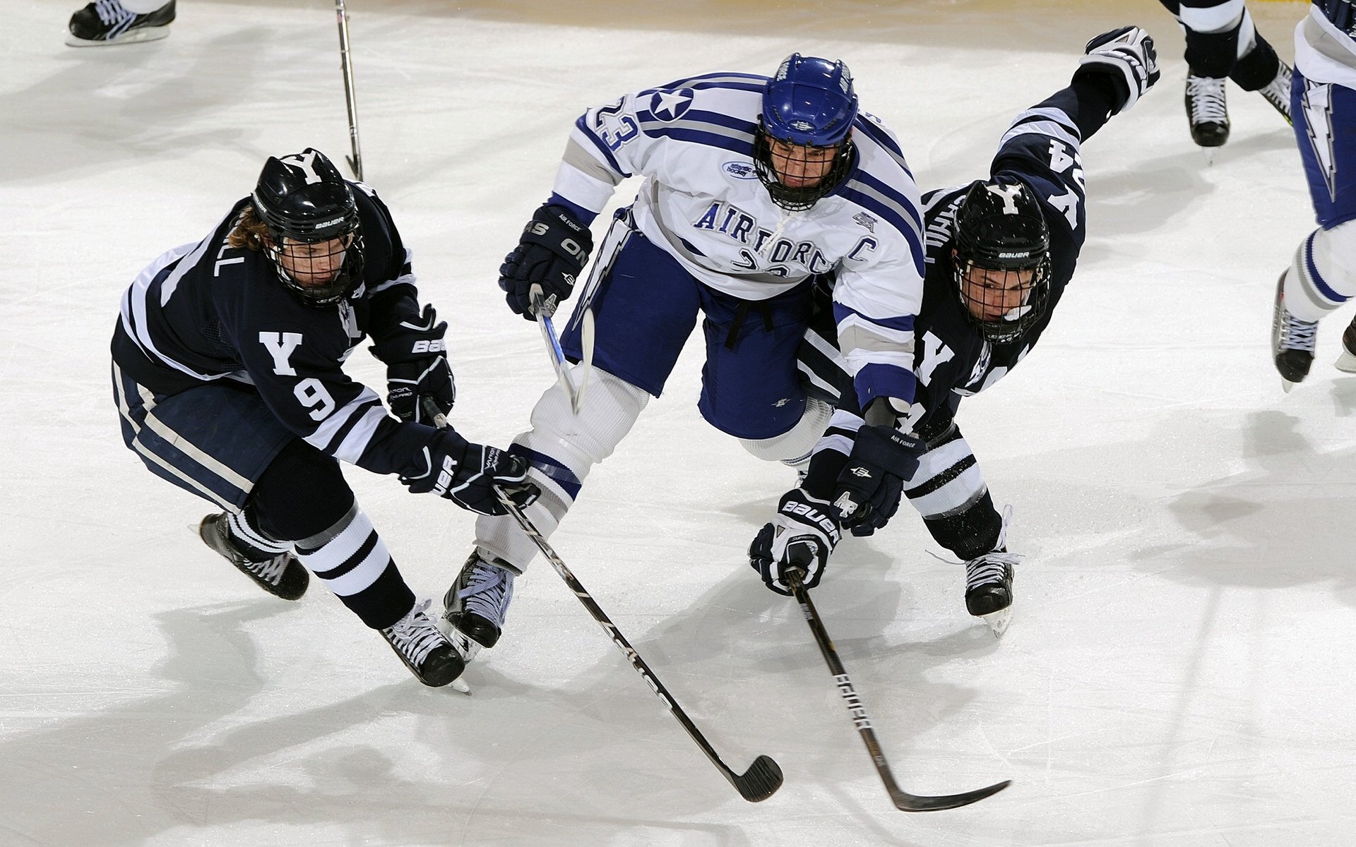 星空娱乐最新网址-体育焦点新闻中心盘点赛季热点,2020体育赛事热点