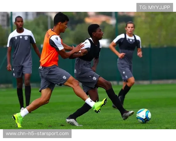 拜仁U19传球与节奏练习：青训中的技术精髓与战术应用