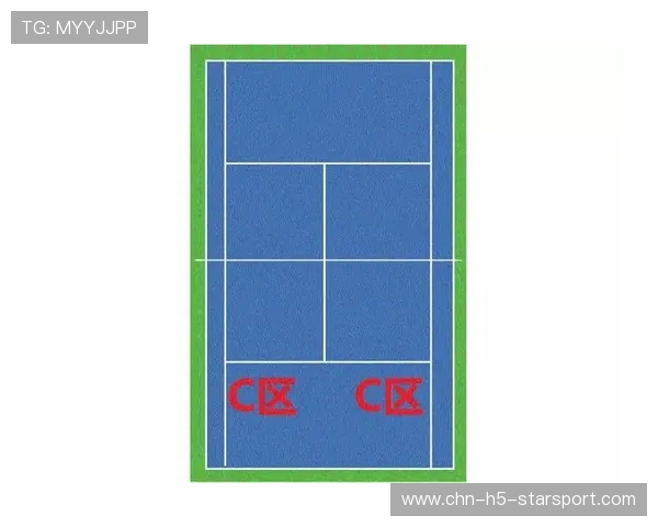 网球比赛策略数据化应用