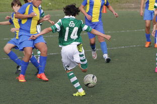 星空体育下载-一场比赛:从比分落后到逆转的奇迹!,大比分落后