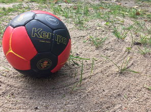 XINGKONGYULE-中超球队外援归队状态良好,中超外援归队情况一览表