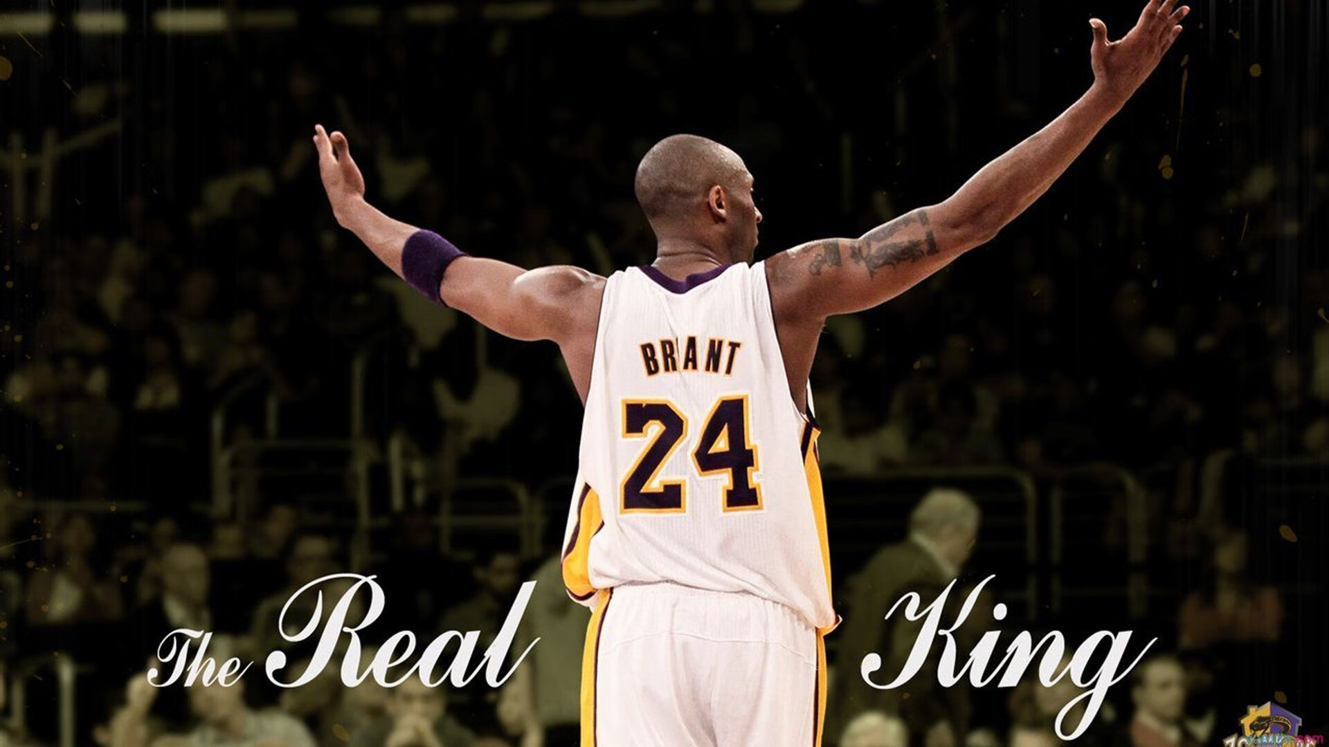 星空体育中国-篮球少年让全国重新燃起希望，篮球少年什么意思